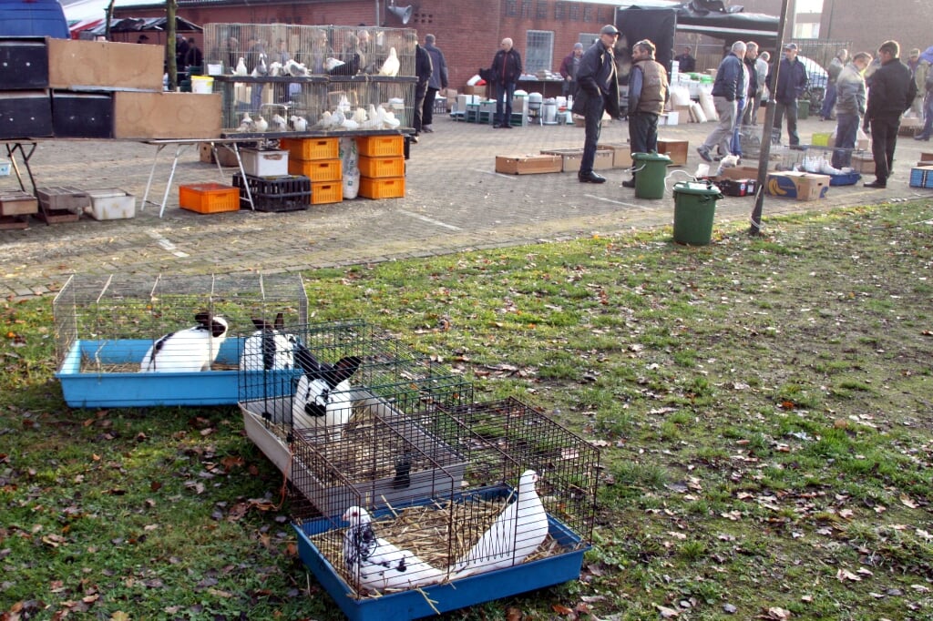 De vogel- en kleine huisdierenmarkt op het terrein van L'Union aan de Heidezoom 2 in Liempde.