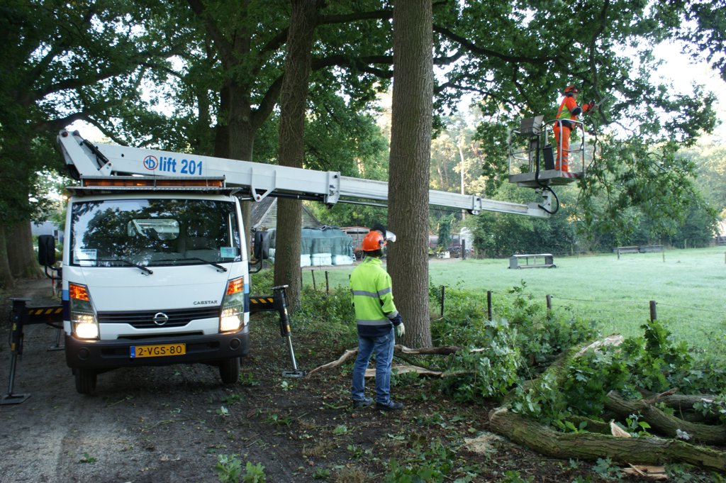 Medewerkers van de gemeente Boxtel aan het werk op de Vekemans van Lieshoutlaan in Sparrenrijk. Dinsdagochtend werd een aantal beschadigde takken afgezaagd. (Foto: Marc Cleutjens).