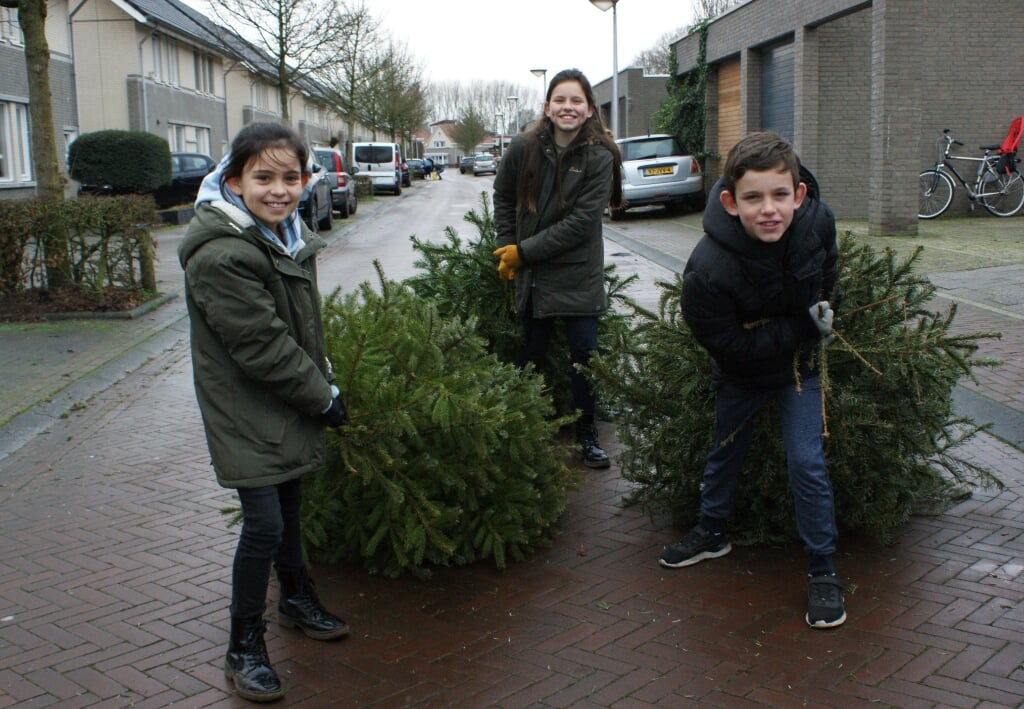 Noor, Lisa en Ties Dankers (v.l.n.r.) zamelden in de wijk In Goede Aarde al bijna zestig kerstbomen in. 