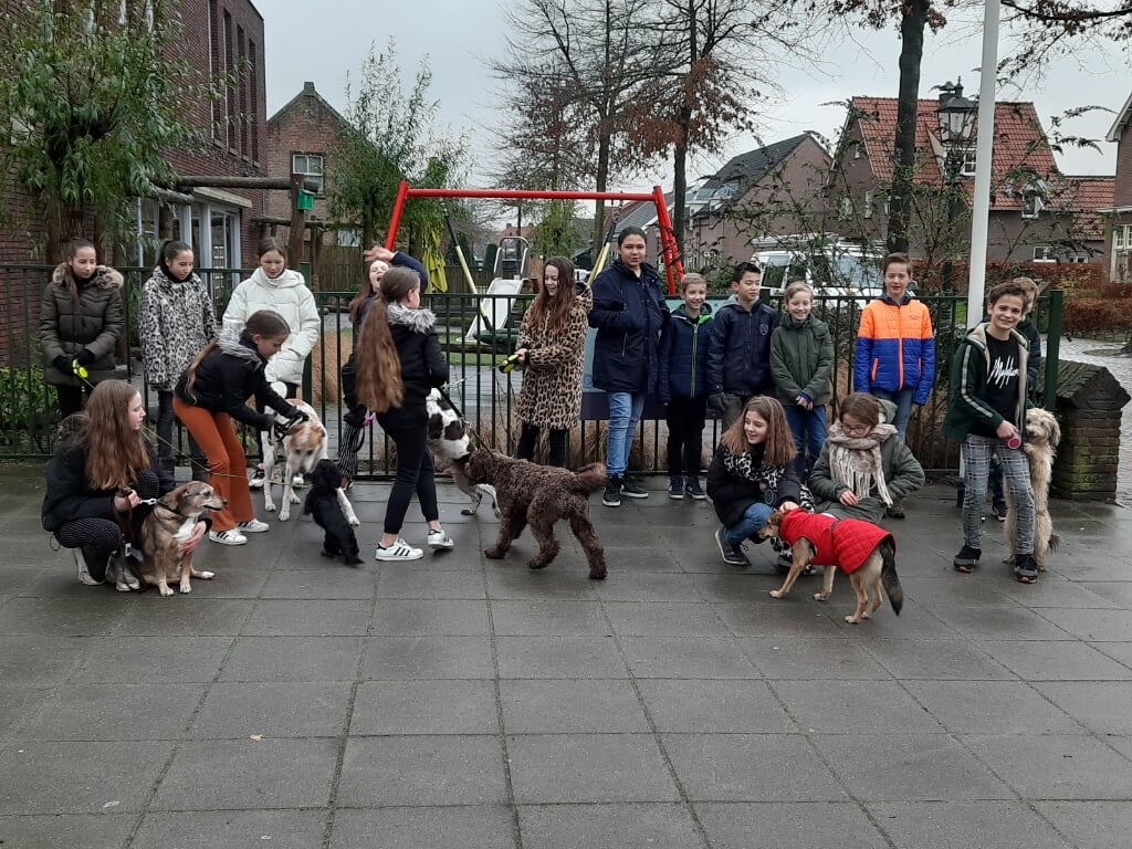 Leerlingen van basisschool De Oversteek in Liempde wandelden elke week een uur en namen meteen hun honden mee. (Foto: eigen collectie).