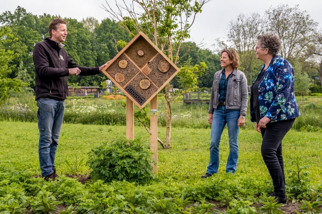 In het vorig jaar geheel vernieuwde plantsoen verrees een van de zes bijenhotels. Die werden gemaakt door Leon Gerrits. Sandra Verhagen (Orbis, midden) en wethouder Désiré van Laarhoven waren vrijdag getuige van de plaatsing. (Foto: Peter de Koning).
