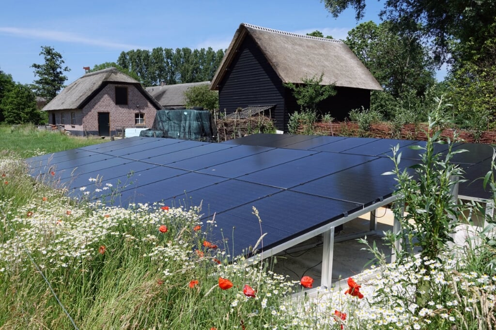 Het zonneveldje van Jeroen Berkhout met op de achtergrond zijn eigen woning. Er hoeft slechts een klein stukje omheind te worden om zijn energieparkje uit het zicht te houden. (Foto: Gerard Schalkx).