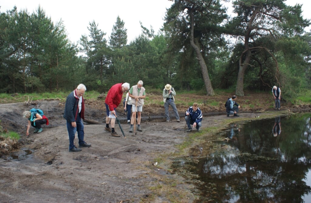 Deelnemers aan de activiteit van ArcheoHotSpot in de Kampina grasduinen langs de oevers van het Kogelvangersven. Op deze plek werden de mogelijke resten van een loden musketkogel gevonden. (Foto: Marc Cleutjens).