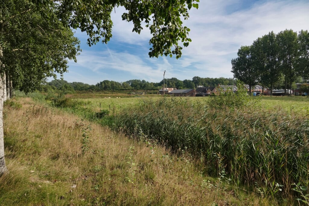 Op een weiland tussen de Schijndelsedijk en de Schijndelseweg wil Henk Vervoorn een complex met circa negentig goedkope appartementen bouwen. 