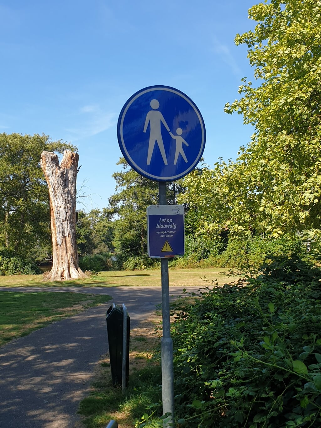 Bij de ingang van park Molenwijk hangt het hele jaar een waarschuwingsbordje dat in het Leijsenven mogelijk blauwalg voorkomt. Dat was gisteren nog niet het geval.