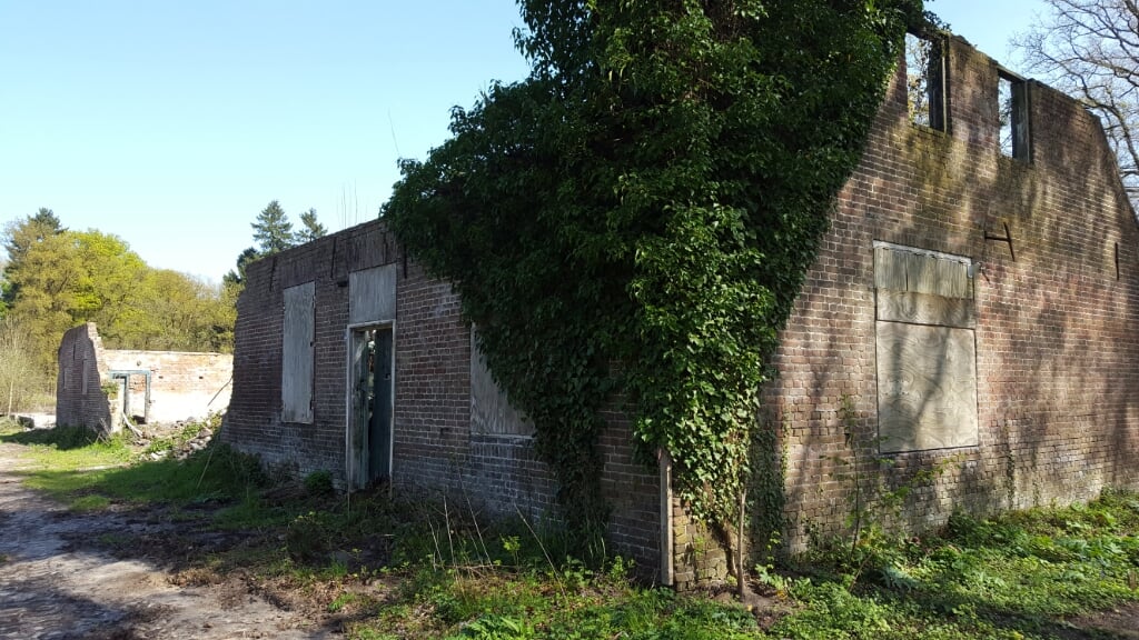 De restanten van Vinkennest waren al in 2016 overwoekerd door planten. Er is inmiddels weinig meer over van de eens veertig meter lange boerderij die tot 1997 werd bewoond.