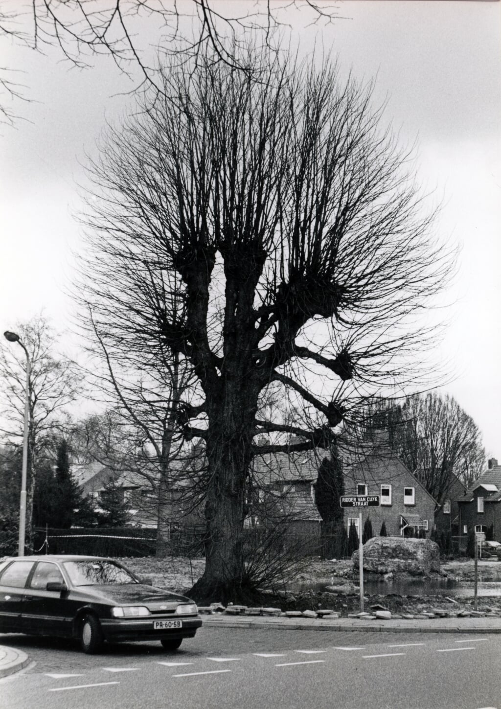 Deze linde herinnert in 1995 nog aan de oude Burcht. In 1998 wordt de boom verplaatst in verband met de nieuwbouw.