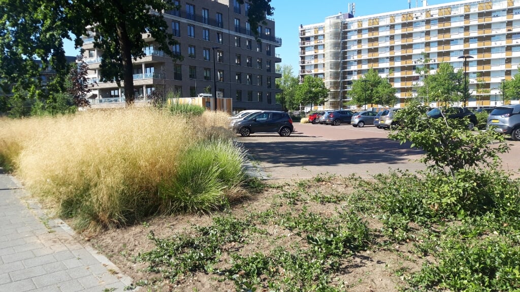 Het plantsoentje tussen de Beneluxlaan en het parkeerterrein bij appartementencomplex Princenlant IV is deels vertrapt door mensen die het als een 'sluiproute' gebruiken.