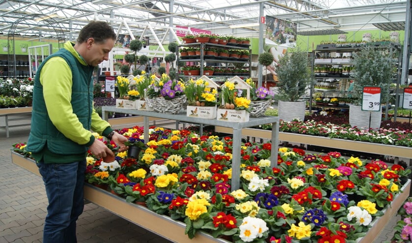 <p>John Cobussen verzorgt de perkplantjes.</p>