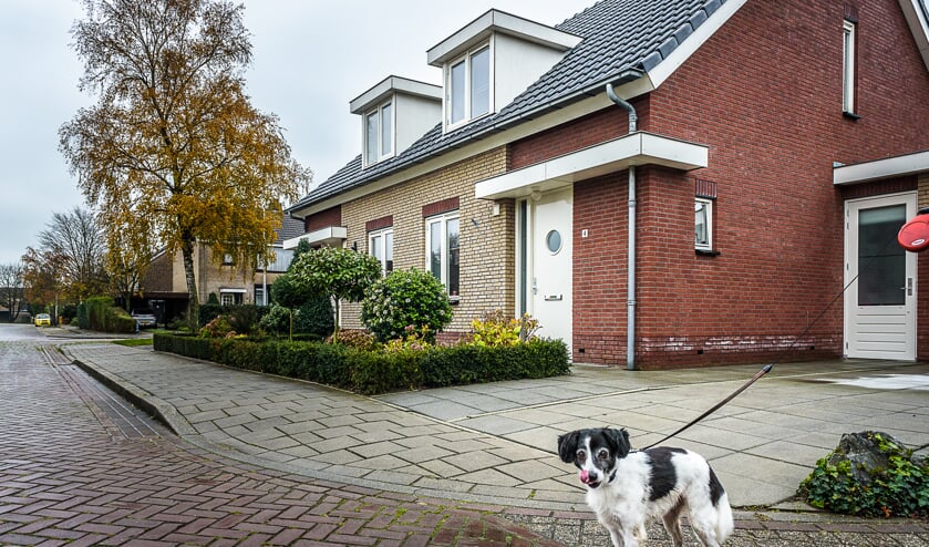 <p>Bestaande huurwoningen van De Kernen in Horssen.</p>