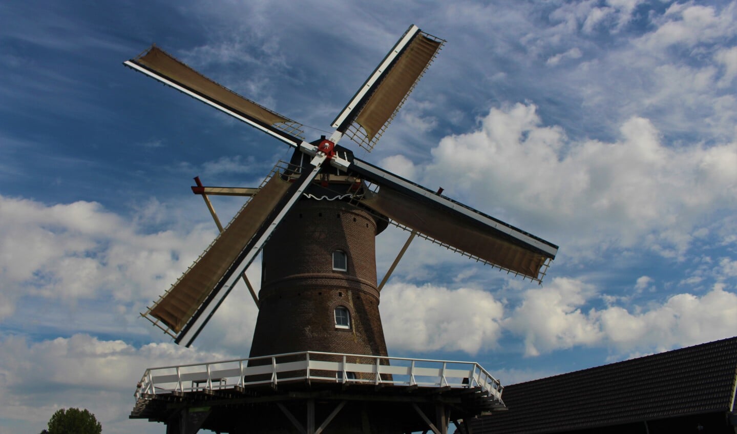 De molen van Maasbommel.