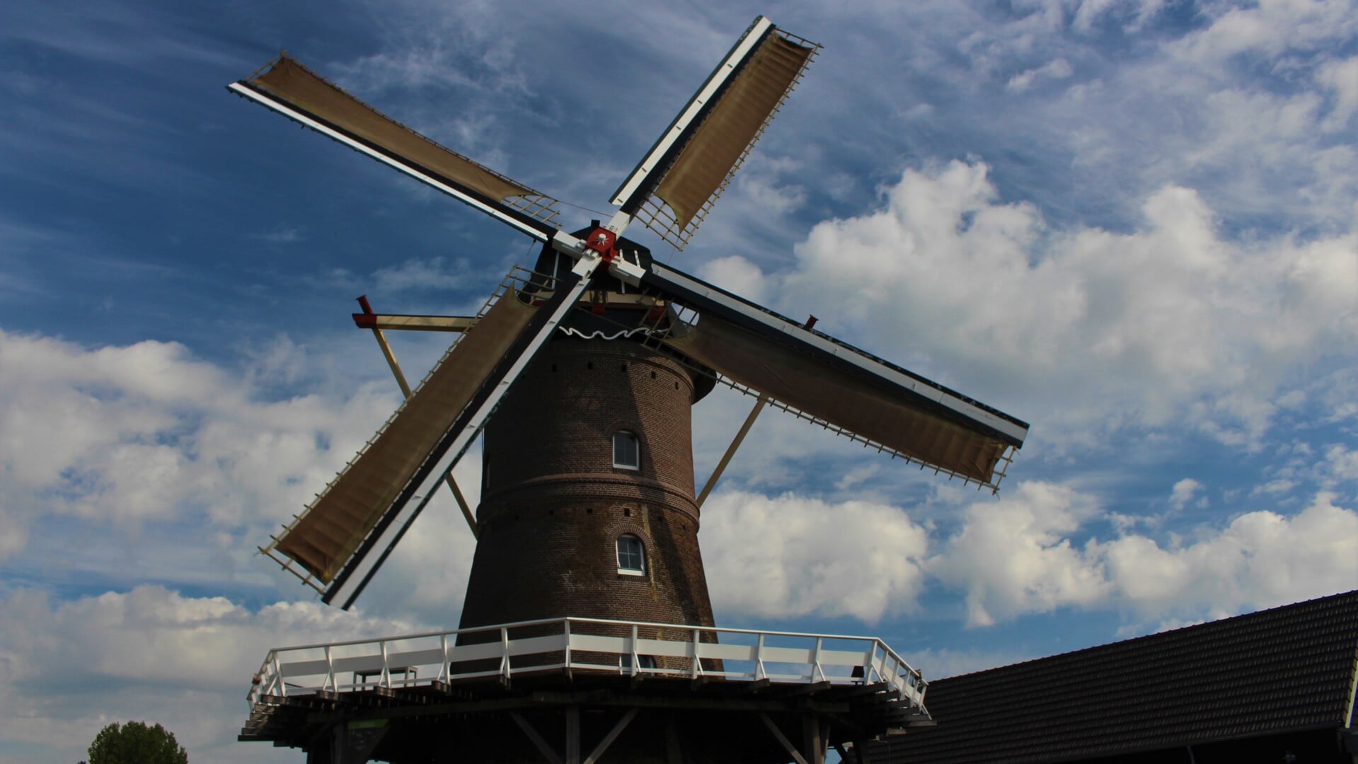 De molen van Maasbommel.