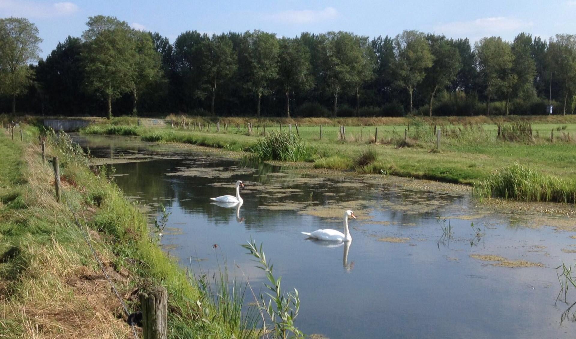 Boerenwandelpad in Horssen.