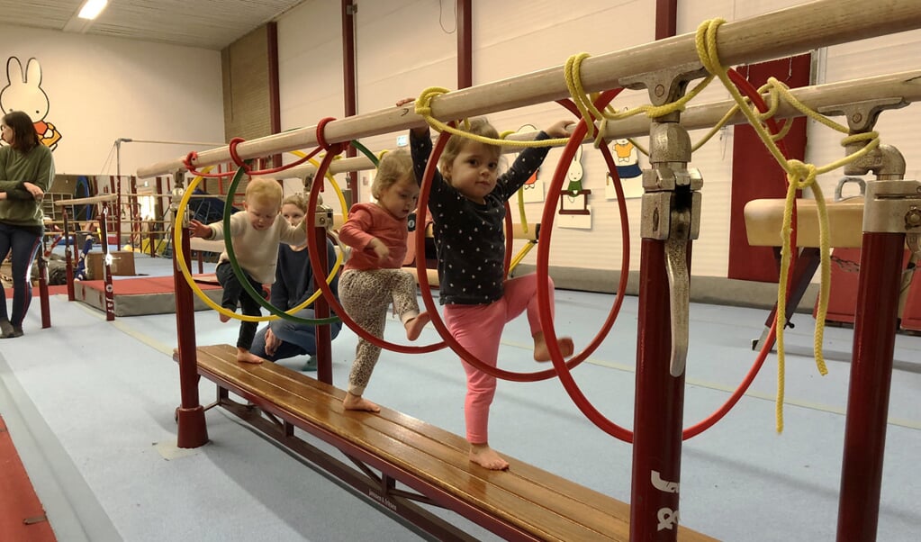 Gratis Ouder Peuter Gym 1 5 Tot 3 Jaar DeMaasenWaler