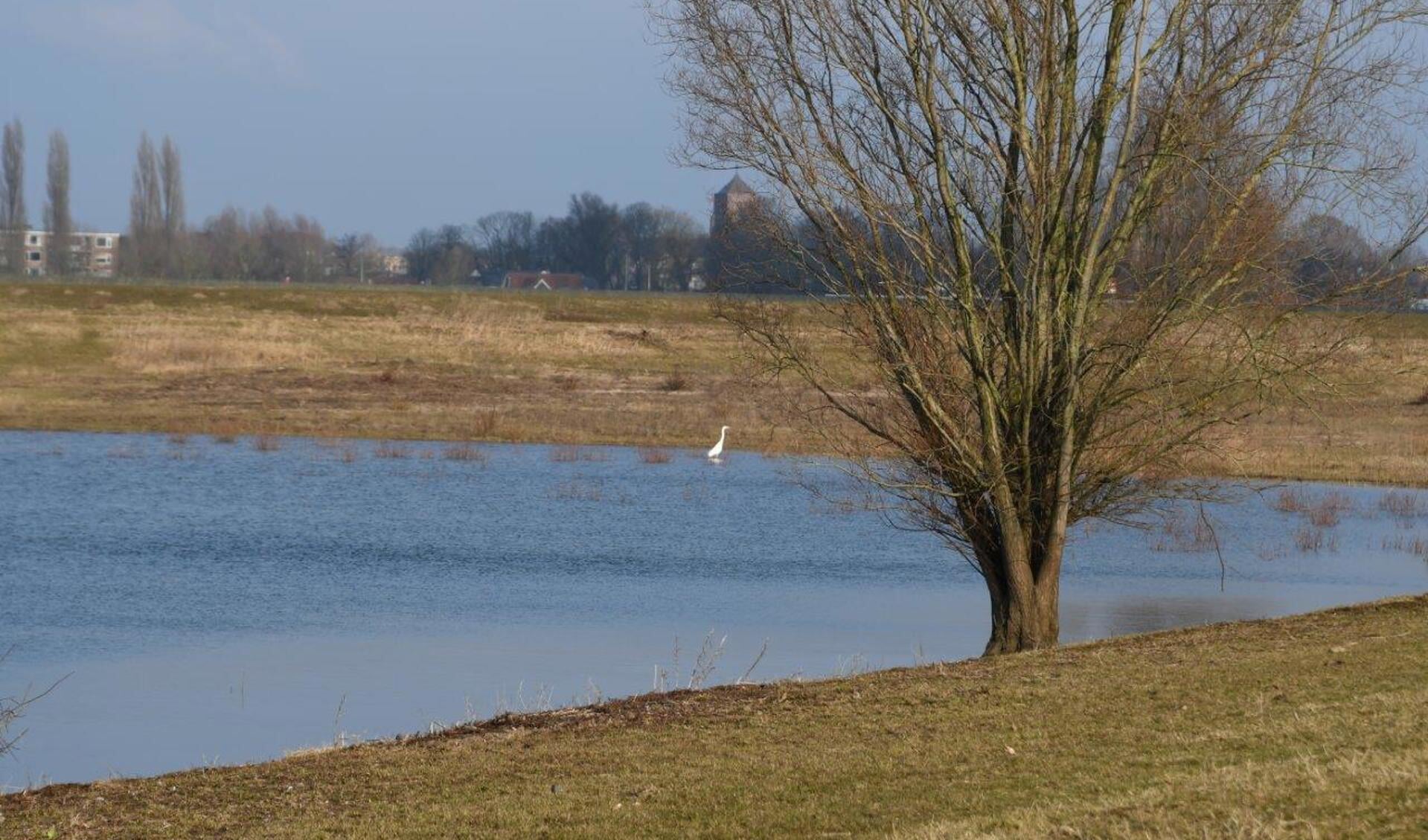De Vonkerplas in Dreumel is een van de gebieden van vervuilde grond gestort wordt. 