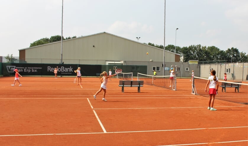 <p>Tennisvereniging Lewabo.</p>