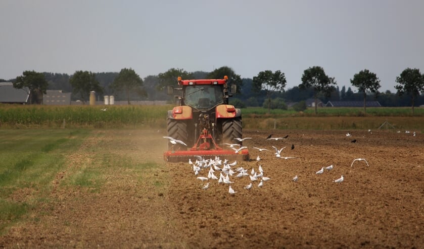 Ook de zomer van 2018 was erg droog.