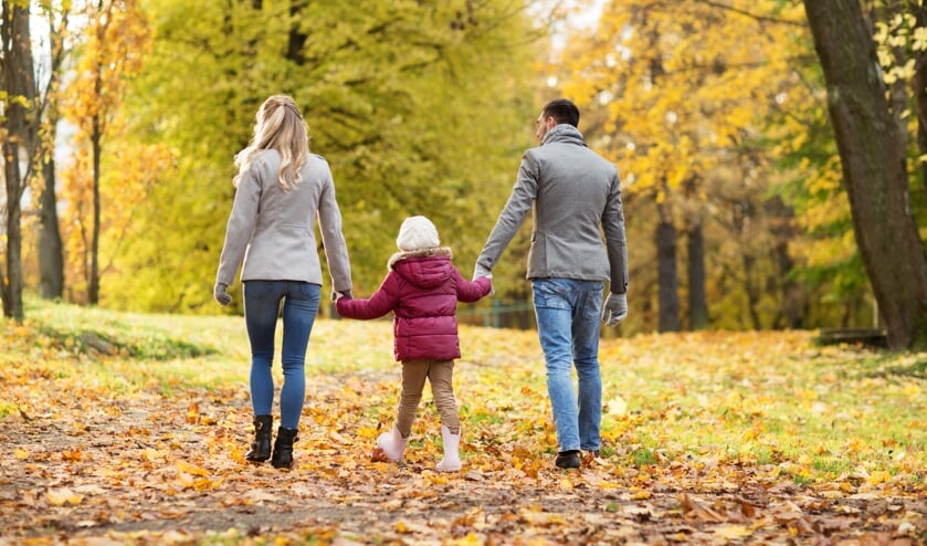 <p>family, season and people concept - happy mother, father and little daughter walking at autumn park</p>