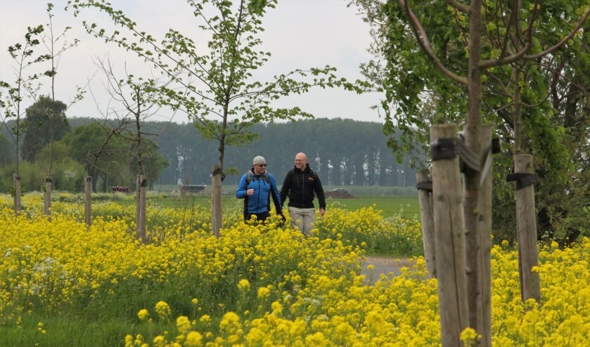 Wandelaars tijdens de Leeuwenmars 2019.