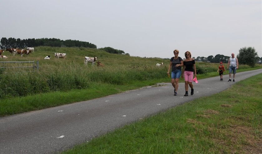 Avondvierdaagse 2018.