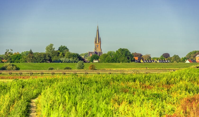 <p>Druten gezien vanuit de uiterwaarden.</p>
