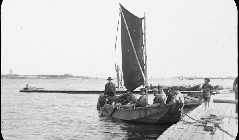 Zalmvissers.