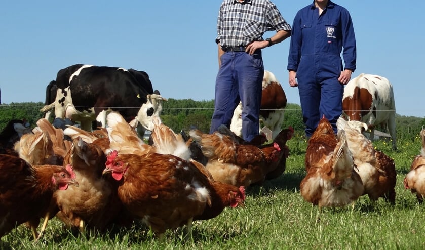 Biologische pluimveehouderij Kalisvaart.