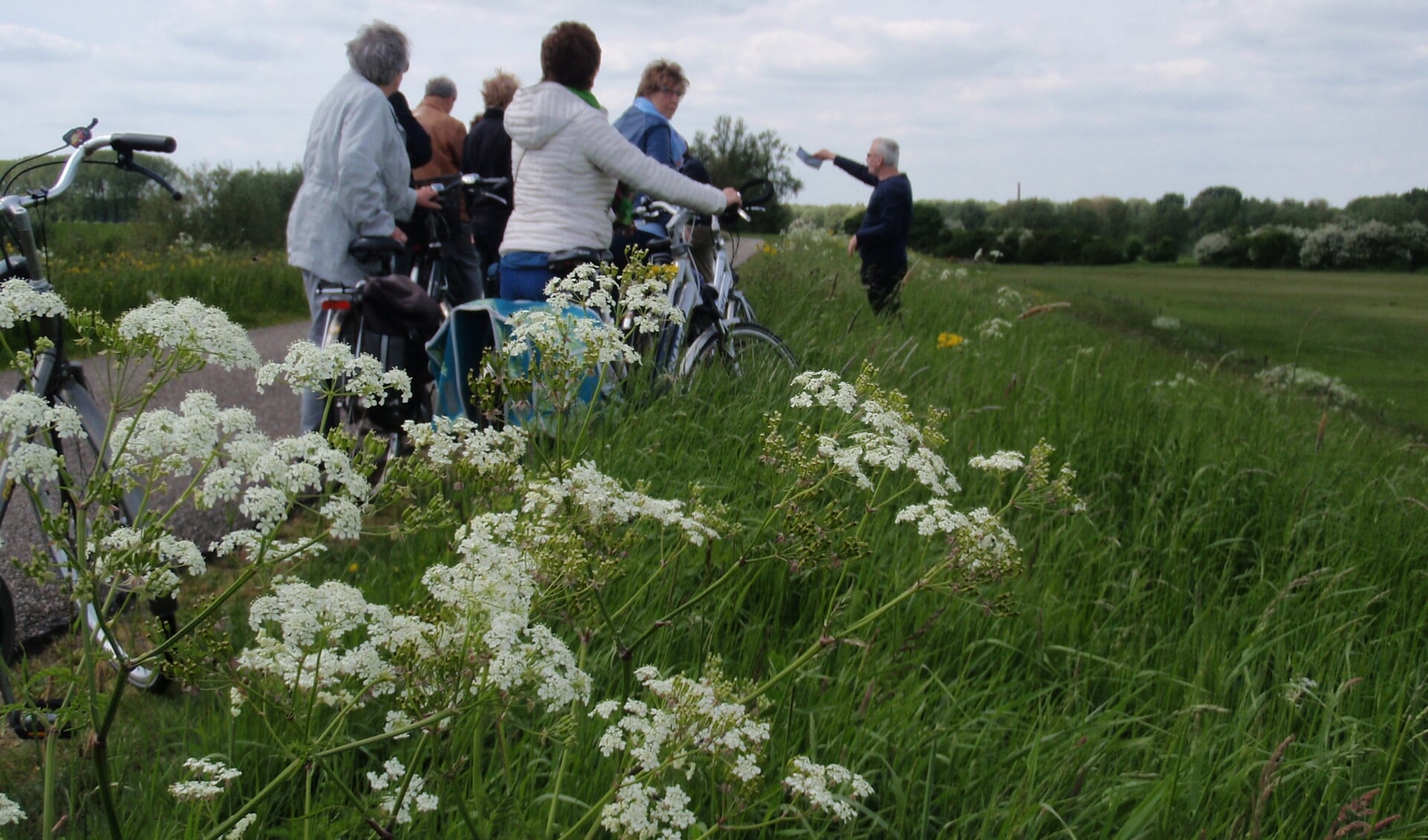 Fietsen langs de Waal.