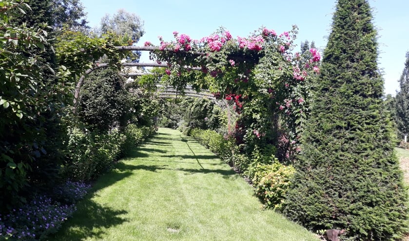 Een doorkijkje in de landschapstuin.