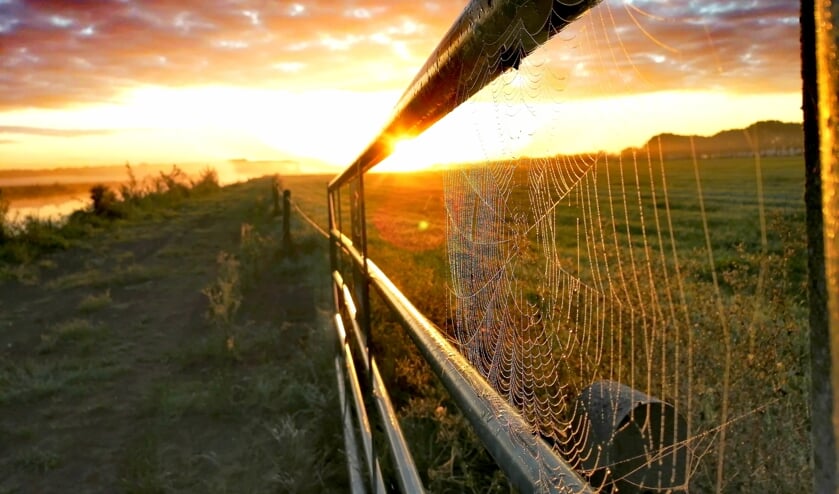 <p>Zonsopkomst in het Land van Maas en Waal.</p>