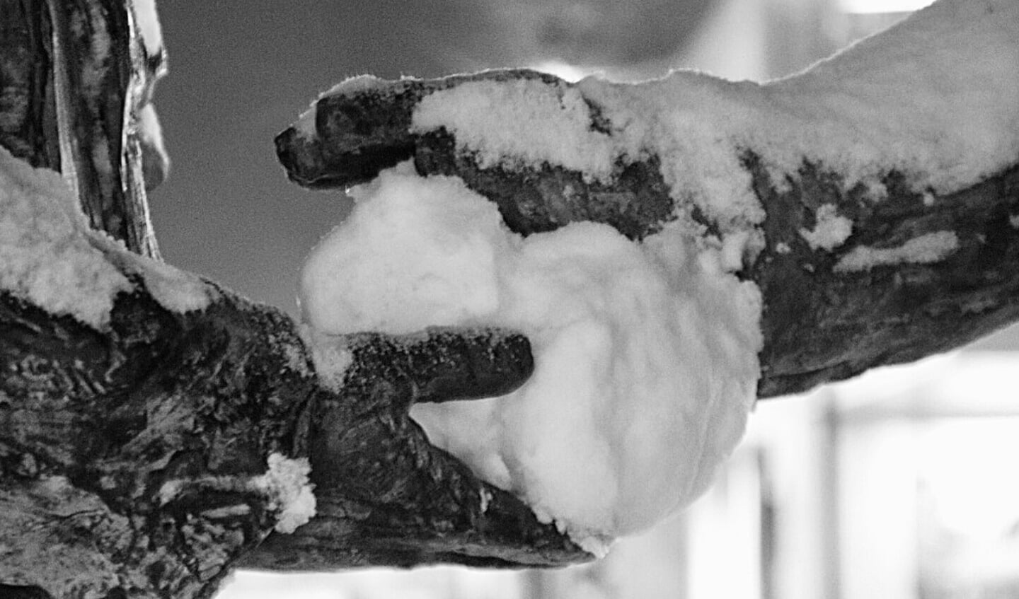 Sneeuwbal tussen de handjes van het handje klap beeld.