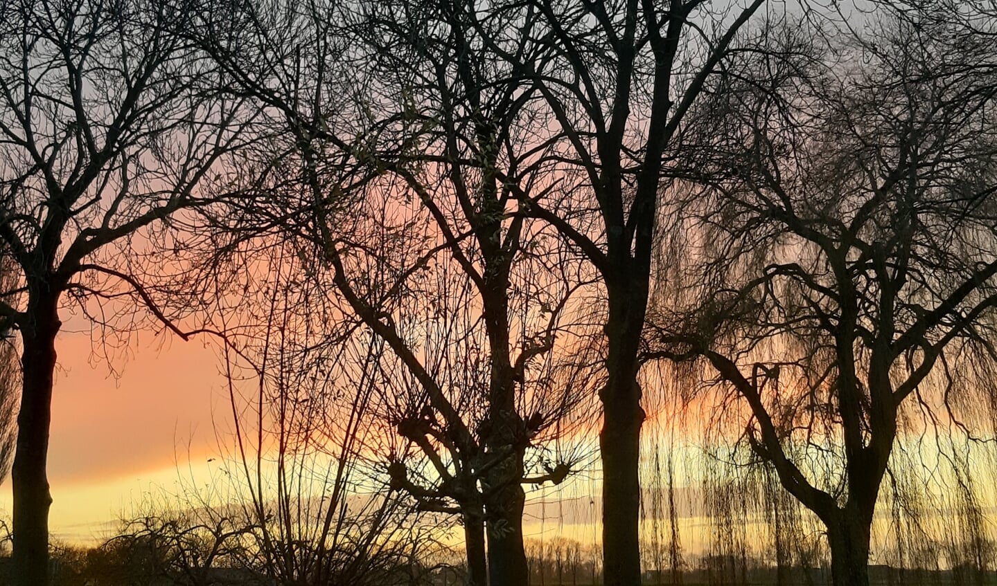 Zonsondergang in Maasbommel.