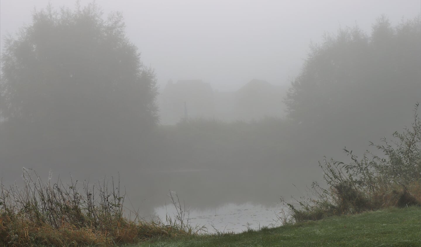 Mistige ochtend in Maas en Waal