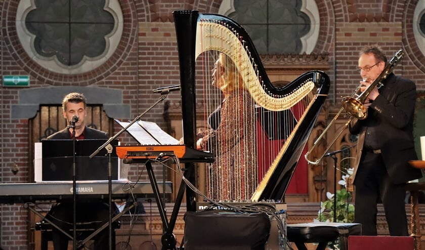 <p>foto ter illlustratie van harpist Remy van Kesteren.</p>