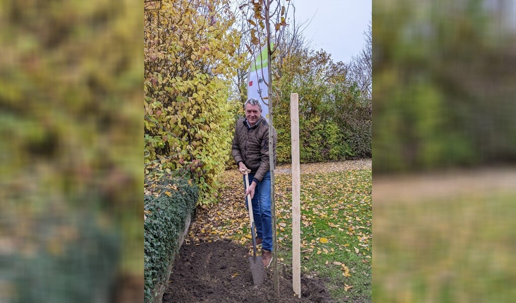 Wethouder René Cruijsen plant de eerste boom