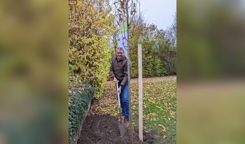Wethouder René Cruijsen plant de eerste boom