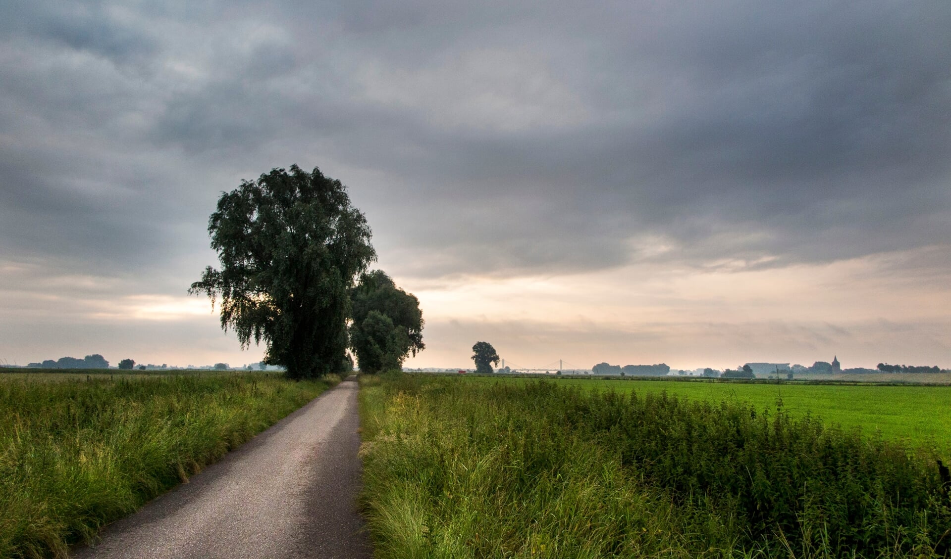 Uiterwaarden in Winssen