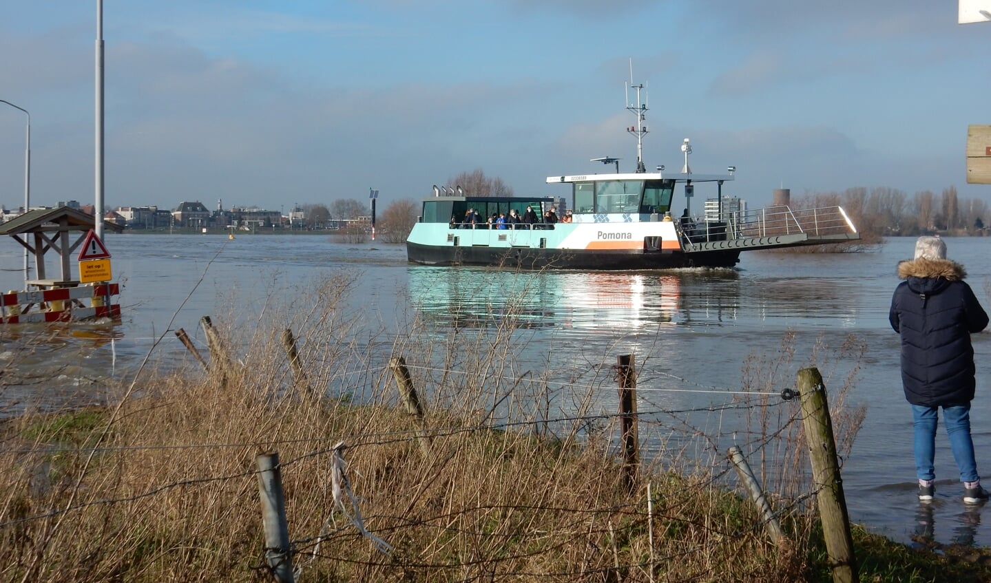 Veerdienst WamelTiel weer in de vaart DeMaasenWaler