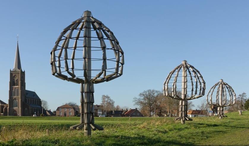 Boombeelden