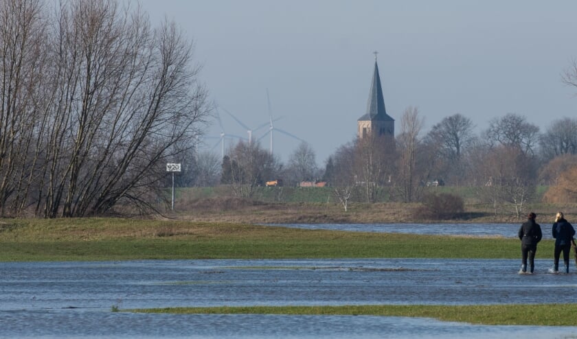 <p>Zicht op de windmolens bij Geldermalsen, gezien vanuit Dreumel.</p>
