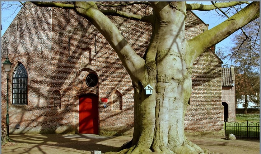 <p>Oude sint Victorkerk</p>