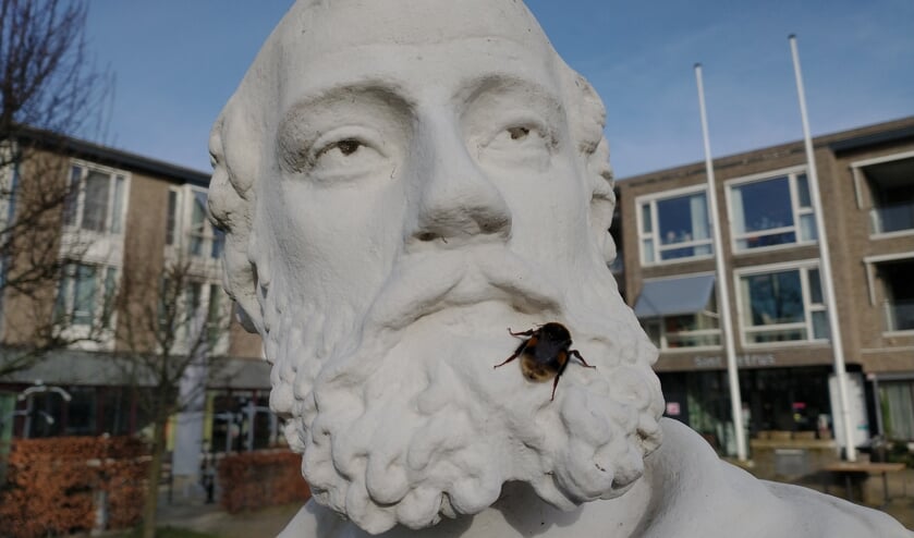 Bij op een beeld.