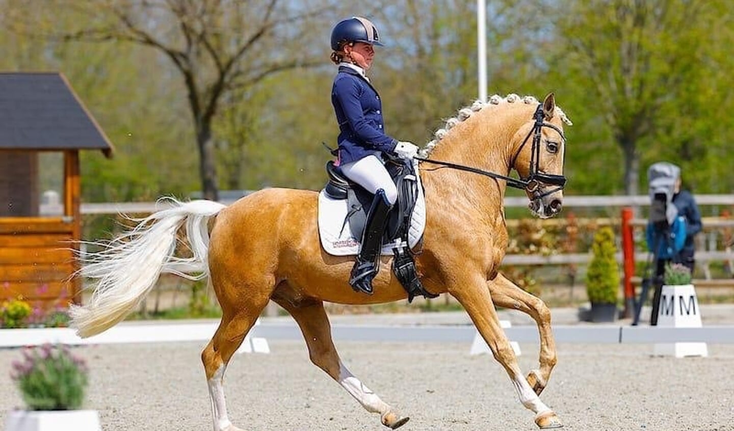 Bridget Lock met Don Davino Horsepoint