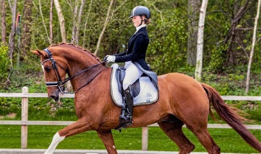 De Vierheemskinderen amazones Internationaal concours CDI Exloo