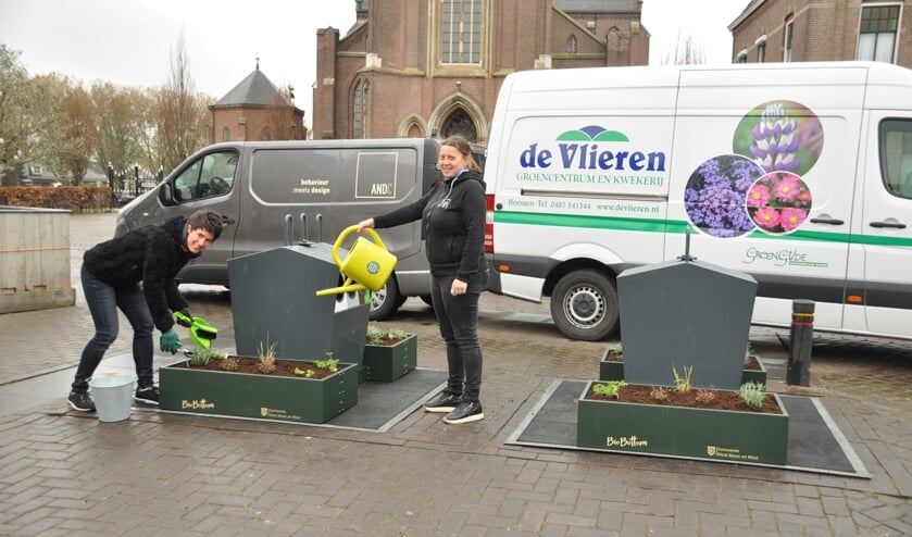 De eerste containertuintjes in Dreumel