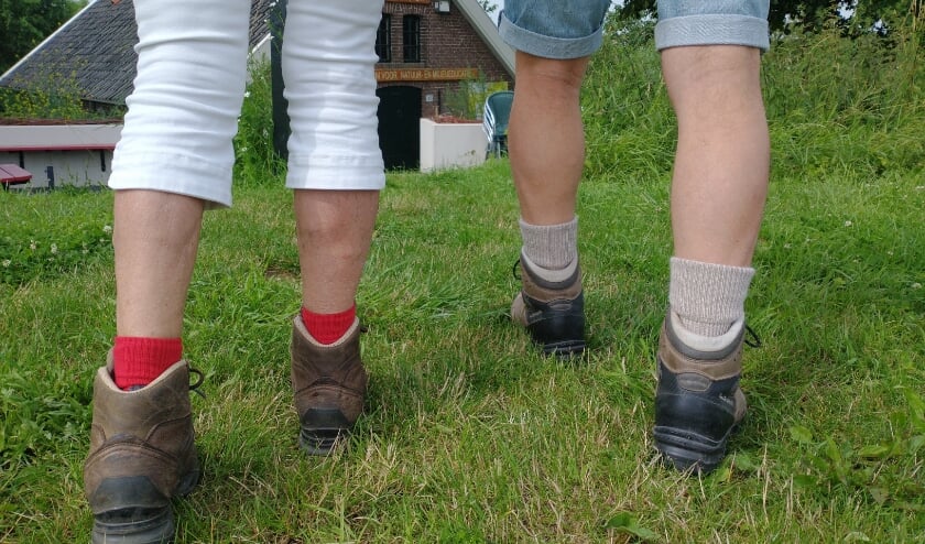 Terras alternatieve vierdaagse Beuningen