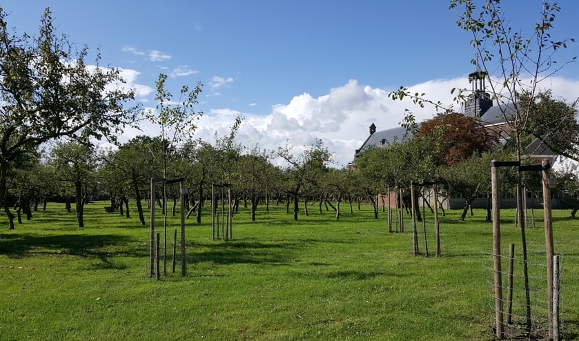 Dorpsboomgaard 't Groene Hart te Winssen