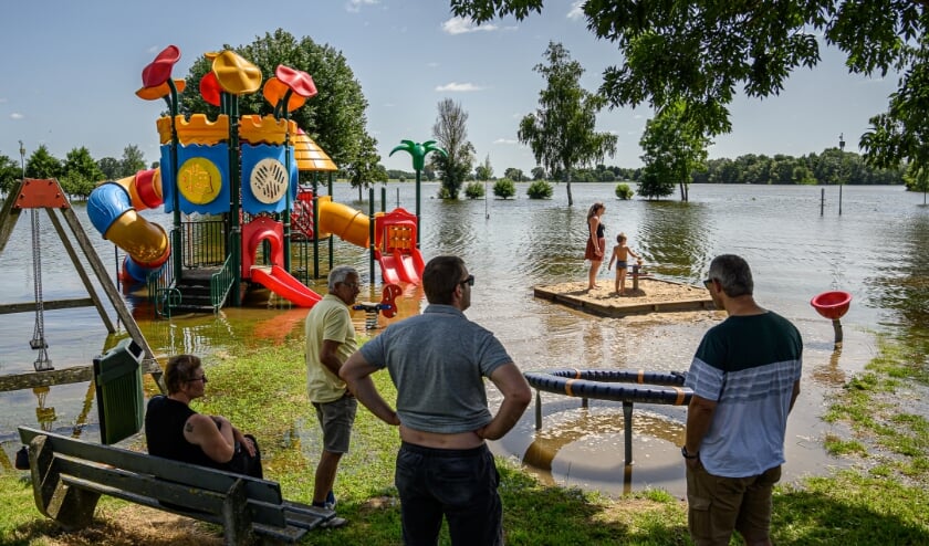 <p>Hoogwater in Maas en Waal</p>