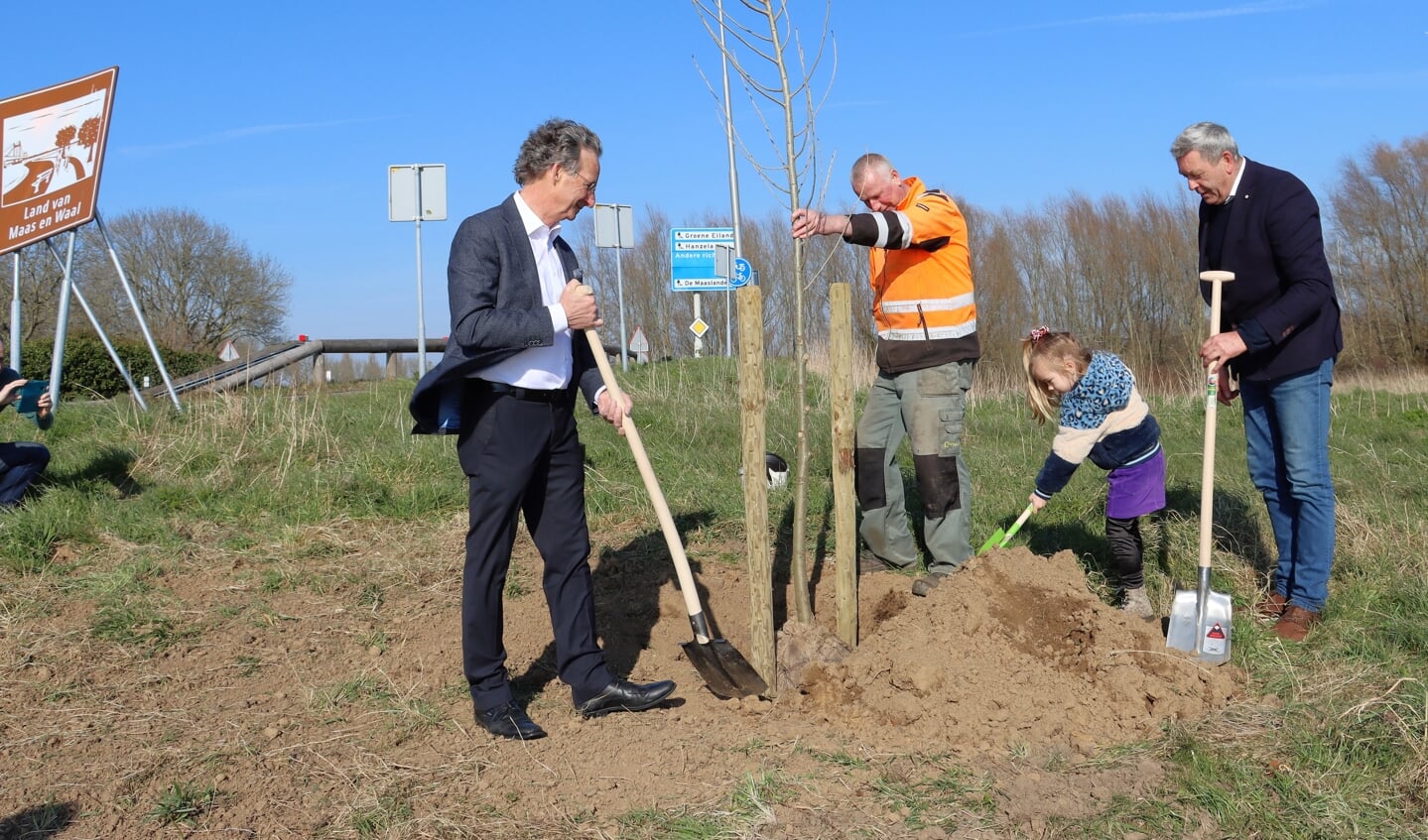 Vrijdagmiddag heeft wethouder René Cruijsen samen met zijn kleindochter Kate een nieuwe bakenboom geplant aan de veerstoep te Appeltern. Wethouder Johan van der Schoot uit de gemeente Oss hielp een handje mee. 