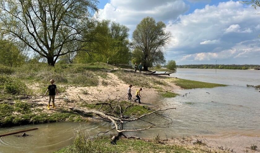 <p>bruggen bouwen in de uiterwaarden (met hoog water)</p>